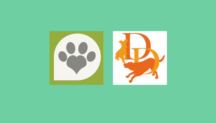 dating site niche ideas